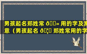 男孩起名郑姓常 🌻 用的字及寓意（男孩起名 🦈 郑姓常用的字及寓意是什么）